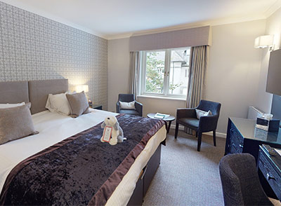 Resort Willow Room